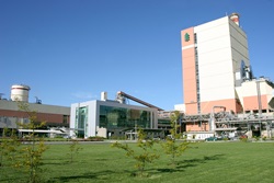 planta valdivia en mariquina